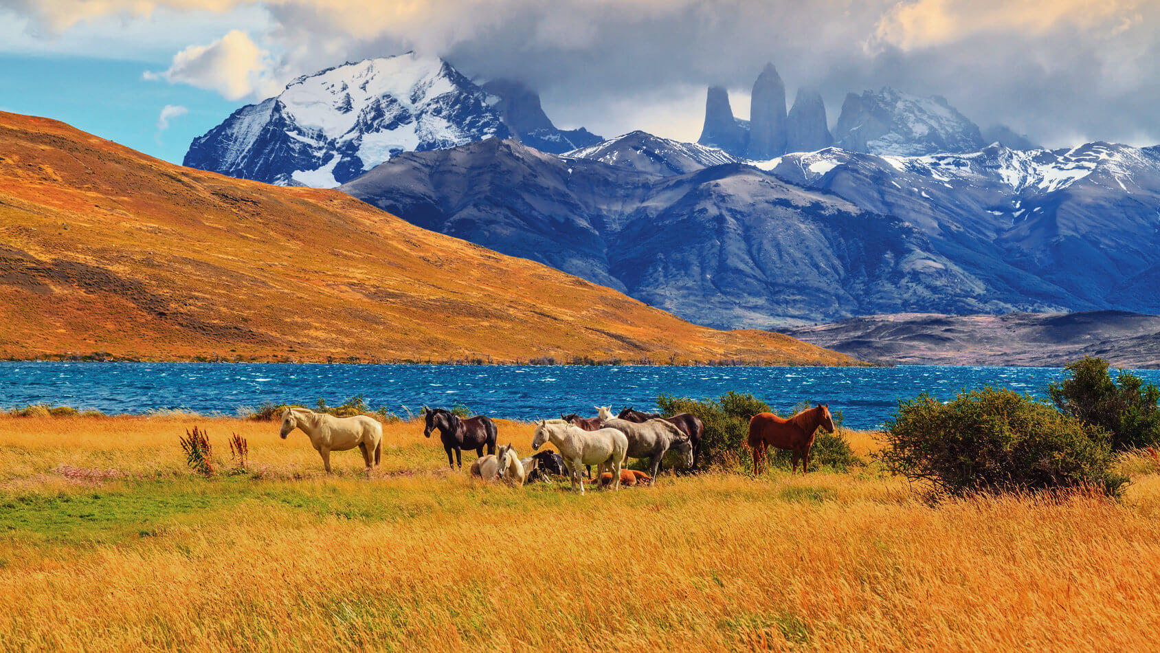 Parque Nacional Torres del Paine com Crianças